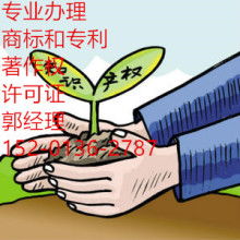 網絡文化經營 機遇、挑戰與合規之道