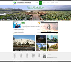 長江綠海品牌與奧遠(yuǎn)科技 云南網(wǎng)站建設(shè)的數(shù)字化浪潮與文化創(chuàng)新